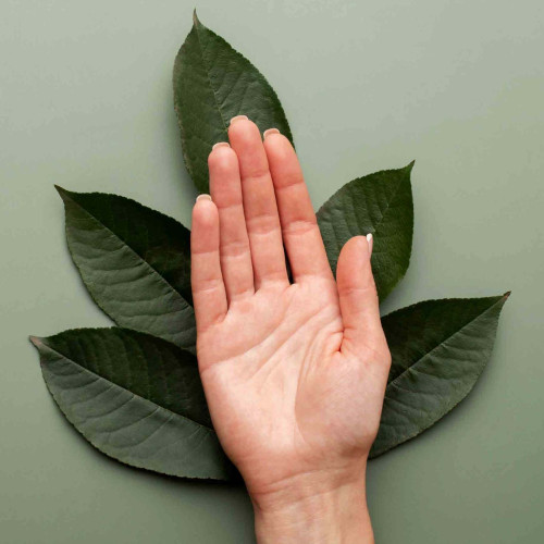 presentation-leaf-hand